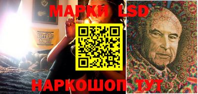 a pvp Новодвинск