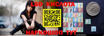 a pvp Новодвинск