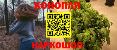 a pvp Новодвинск