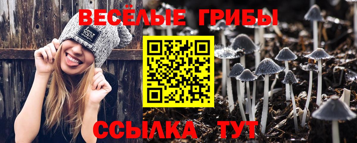 Псилоцибиновые грибы мухоморы  Вход с VPN  Шарыпово 