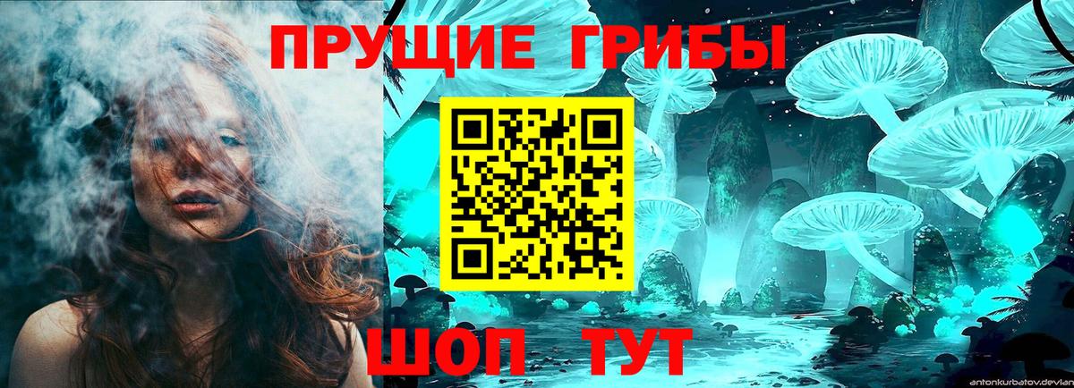 Псилоцибиновые грибы GOLDEN TEACHER Шарыпово